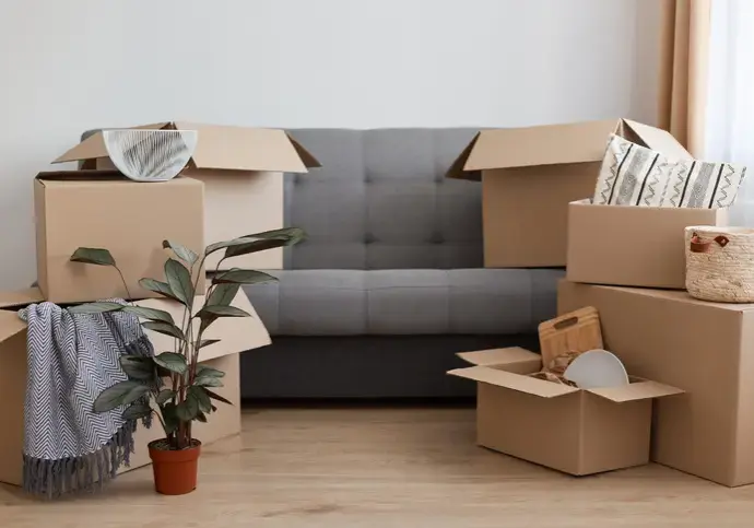 Indoor shot of gray sofa with cardboard boxes with personal piles, flower pot with plant, unpacking belongings while moving. Indoor shot of gray sofa with cardboard boxes with personal piles, flower pot with plant, unpacking belongings while moving.