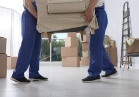 The Ultimate Guide to Move Management