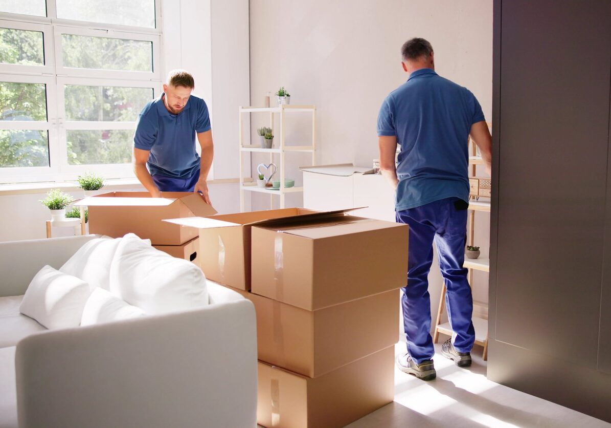 iStock-1499392421 Two movers organizing boxes in a house.