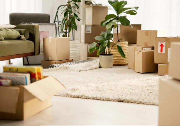 Room, boxes and moving in house, couch and investment of real estate, empty and shipping of luggage. Furniture, cardboard and new home with loan, mortgage and property of apartment and relocation Room, boxes and moving in house, couch and investment of real estate, empty and shipping of luggage. Furniture, cardboard and new home with loan, mortgage and property of apartment and relocation